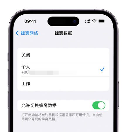 广安苹果维修服务分享如何在iPhone上使用双卡 